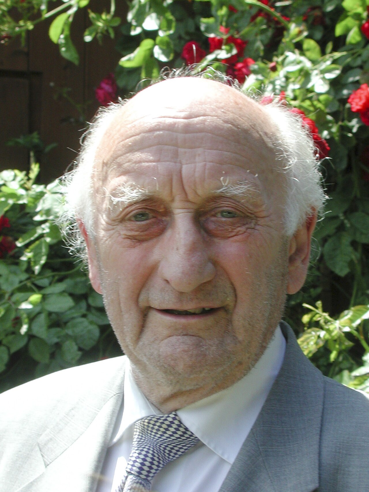 Friedrich L Bauer